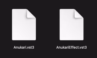 The two plugin files: Anukari.vst3 and AnukariEffect.vst3